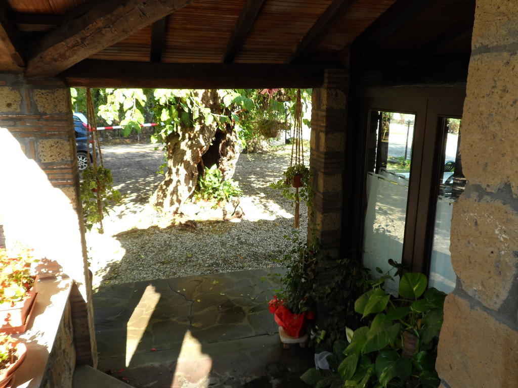 Mola Solis Hotel Civitella dʼAgliano Kültér fotó