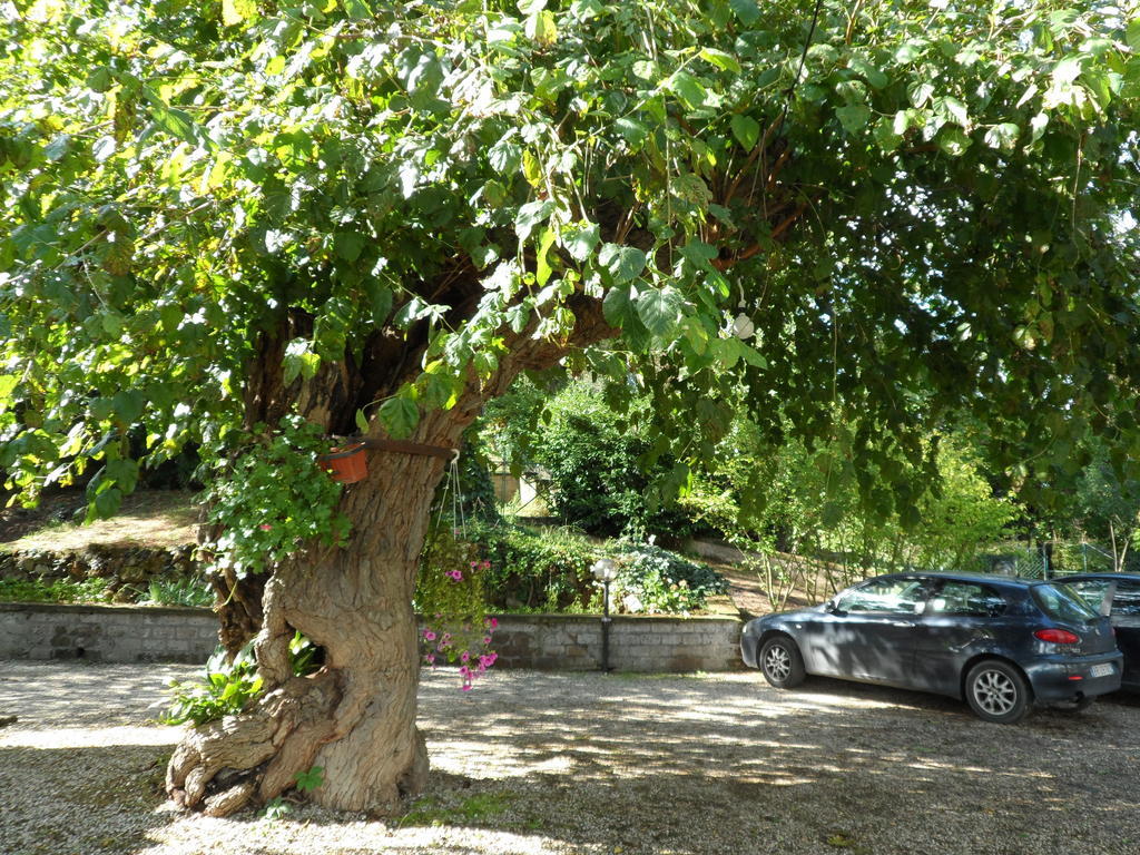 Mola Solis Hotel Civitella dʼAgliano Kültér fotó